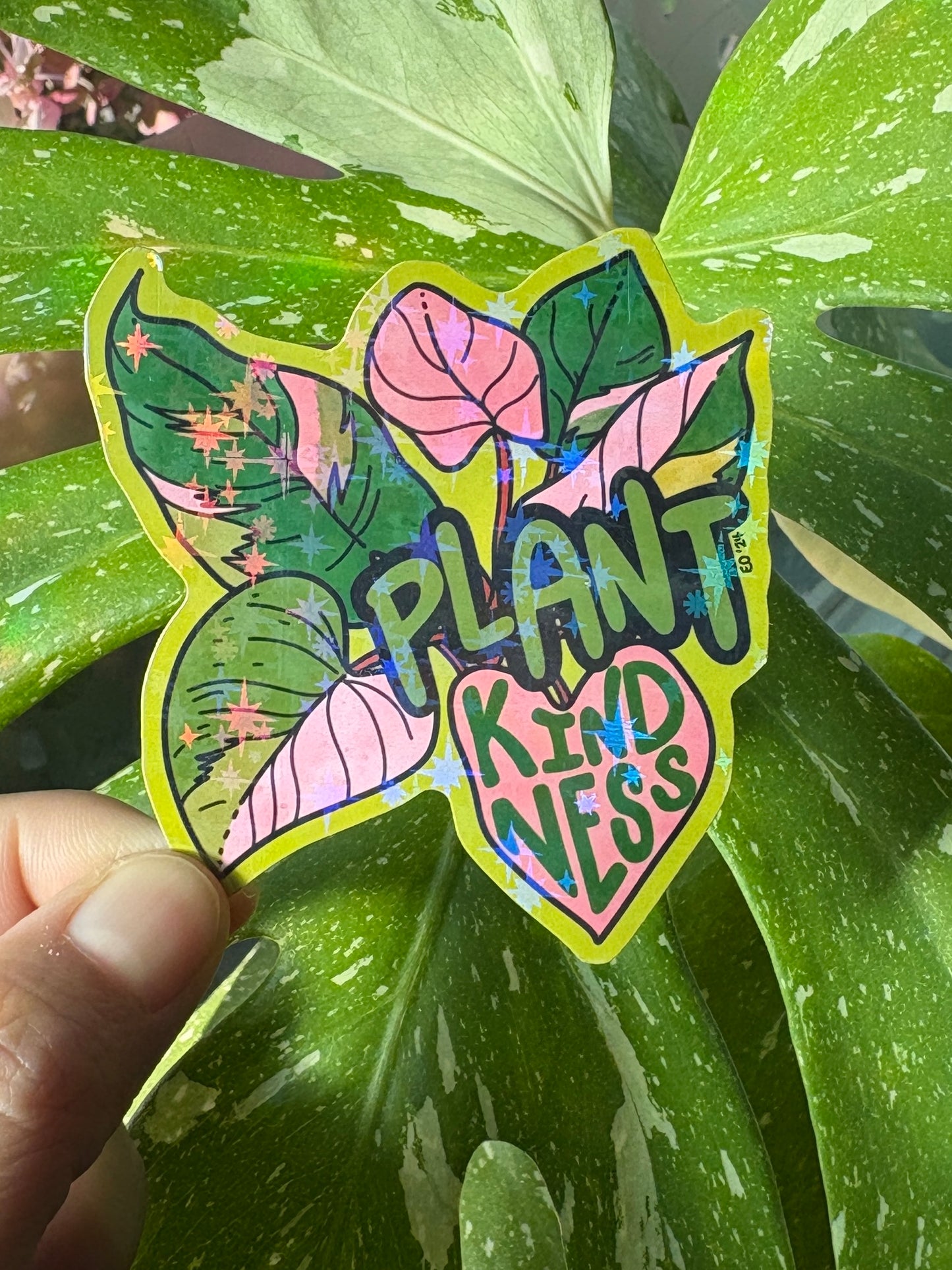 Plant Kindness - Philodendron Pink Princess houseplants sticker