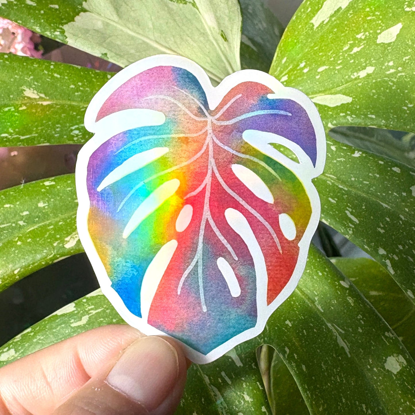 Rainbow Holographic Monstera Leaf - cute monstera leaf sticker