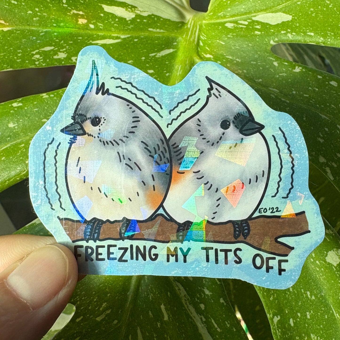 098 - Freezing My Tits Off - Funny and cute tit mouse birds freezing in the cold sticker